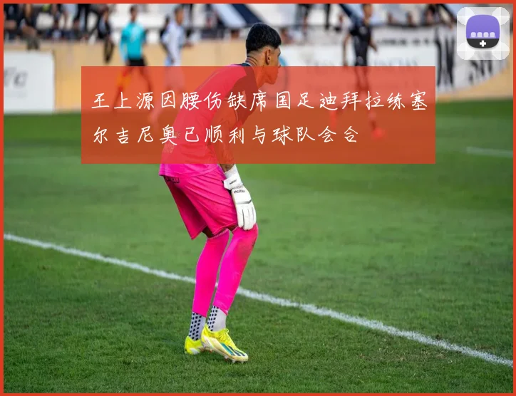 王上源因腰伤缺席国足迪拜拉练塞尔吉尼奥已顺利与球队会合
