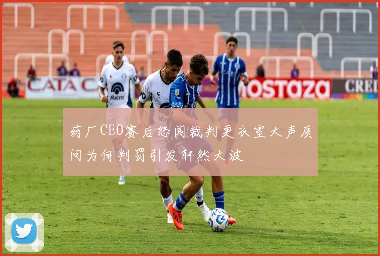 药厂CEO赛后怒闯裁判更衣室大声质问为何判罚引发轩然大波