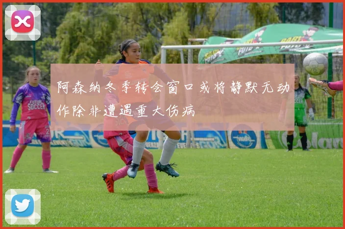 阿森纳冬季转会窗口或将静默无动作除非遭遇重大伤病